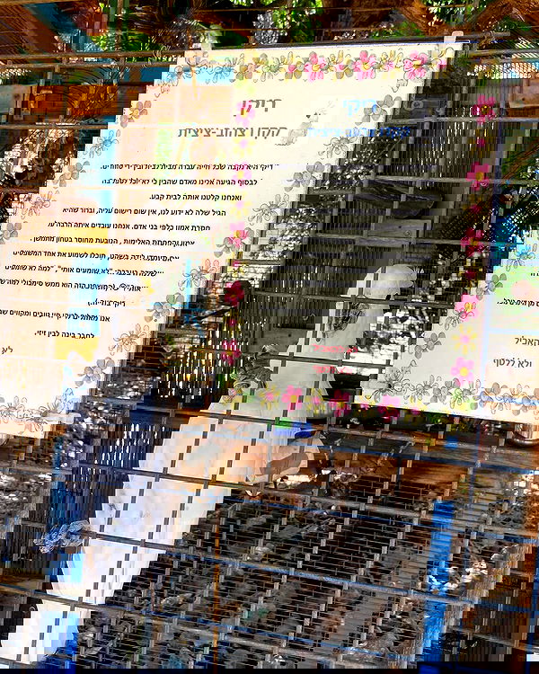 feelbetterinmysweater feelbetterinmysweater archive image