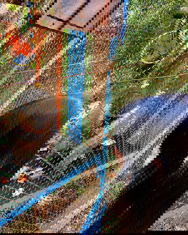 feelbetterinmysweater feelbetterinmysweater archive image