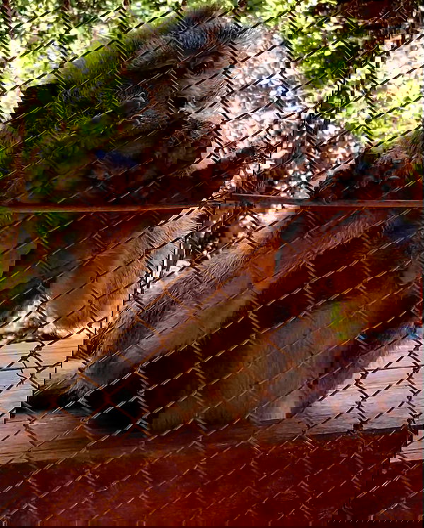 feelbetterinmysweater feelbetterinmysweater archive image