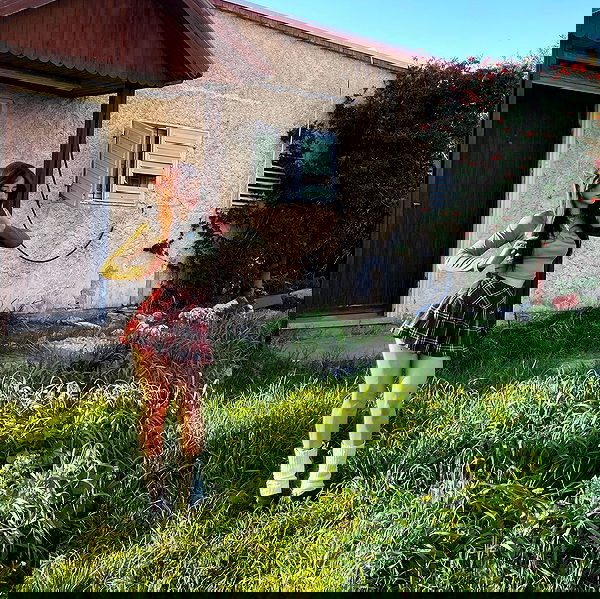 feelbetterinmysweater feelbetterinmysweater archive image