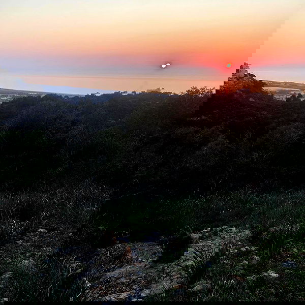 feelbetterinmysweater feelbetterinmysweater archive image