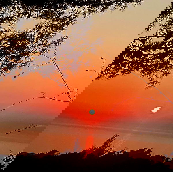 feelbetterinmysweater feelbetterinmysweater archive image