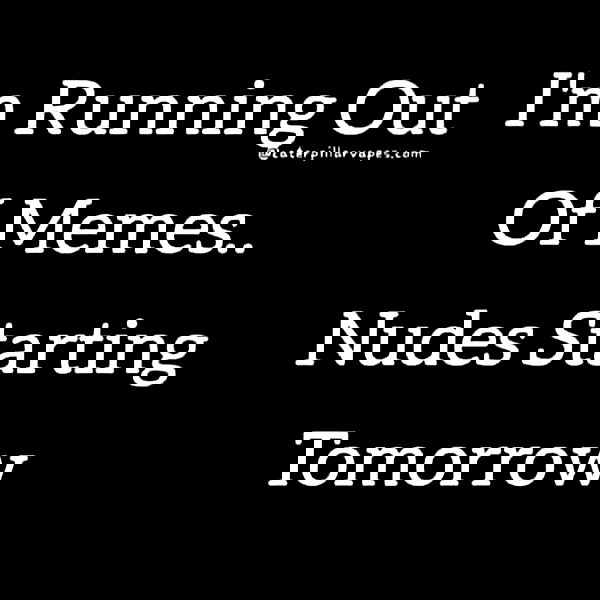 feelbetterinmysweater feelbetterinmysweater archive image