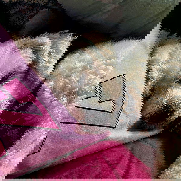 feelbetterinmysweater feelbetterinmysweater archive image