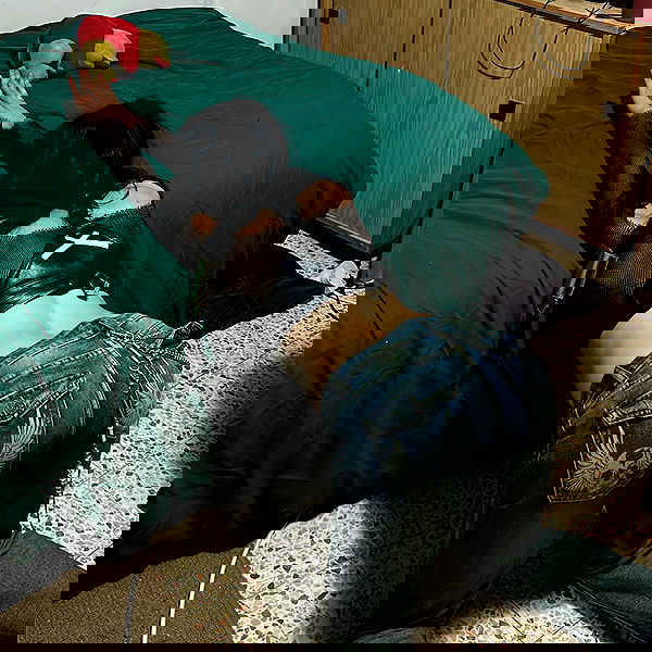 feelbetterinmysweater feelbetterinmysweater archive image