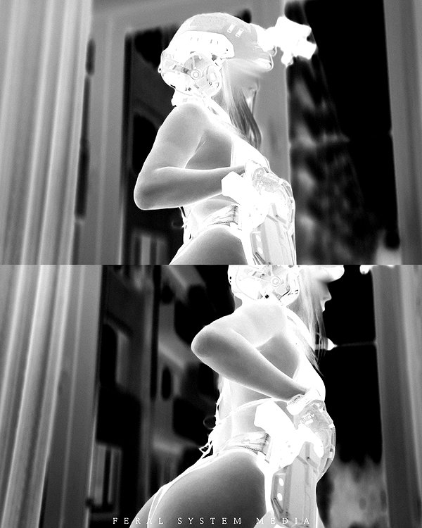 feralsystemmedia feralsystemmedia archive image
