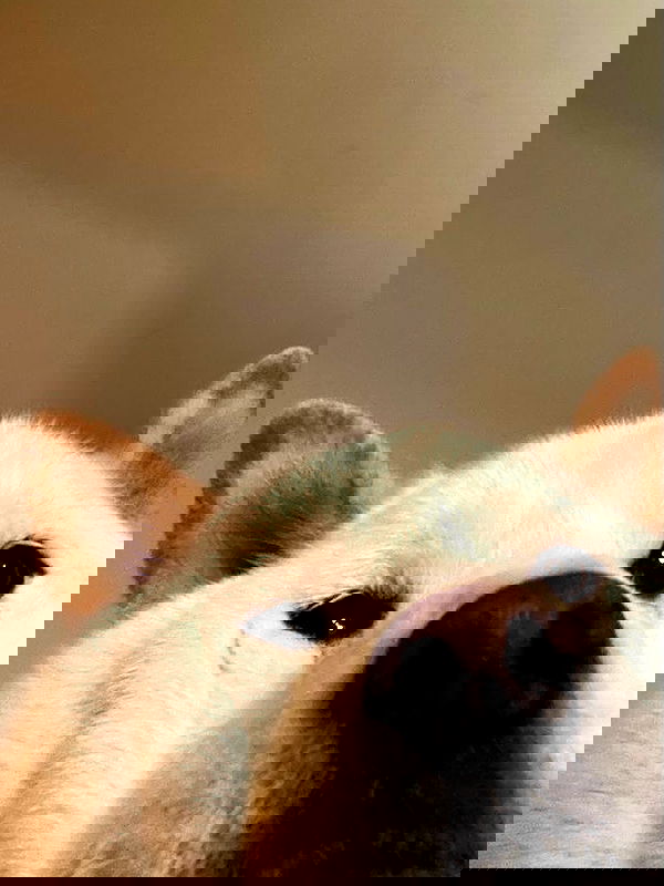 flarebahr flarebahr archive image