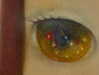 flo_holland53 Altpins Profile Picture