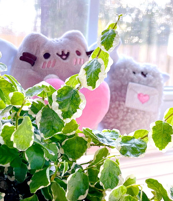 frankiebuns instagram image archive image