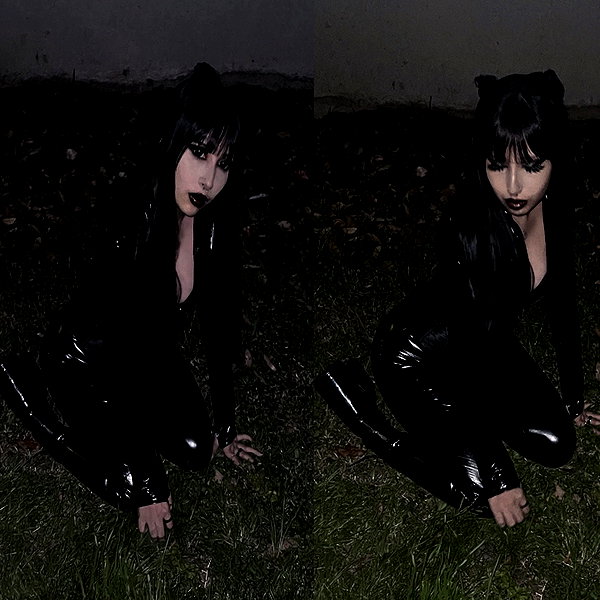 fungusfr0g instagram image archive image
