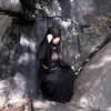 fungusfr0g Altpins Profile Picture