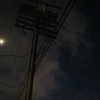 g4br111elle Altpins Profile Picture