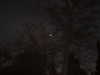 g4br111elle Altpins Profile Picture