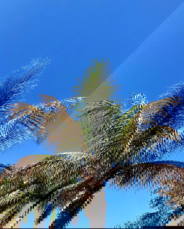 gabnoyr gabnoyr archive image