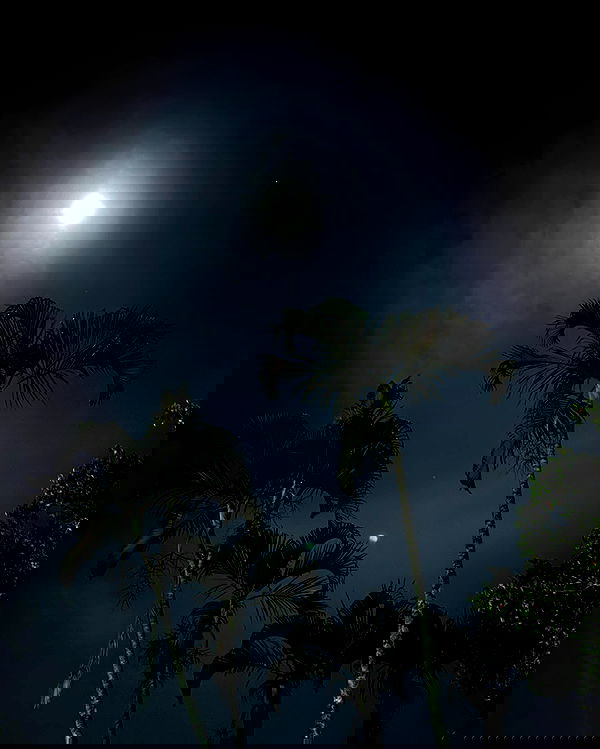 gabnoyr gabnoyr archive image