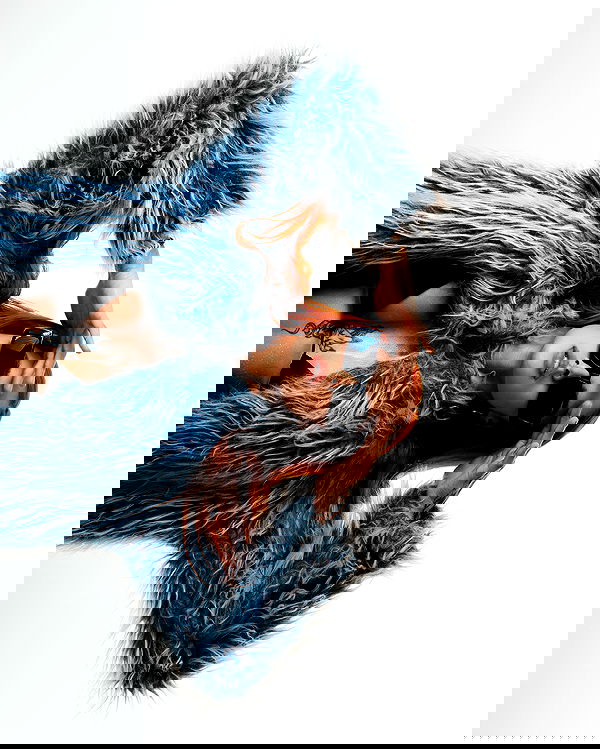 gabnoyr gabnoyr archive image