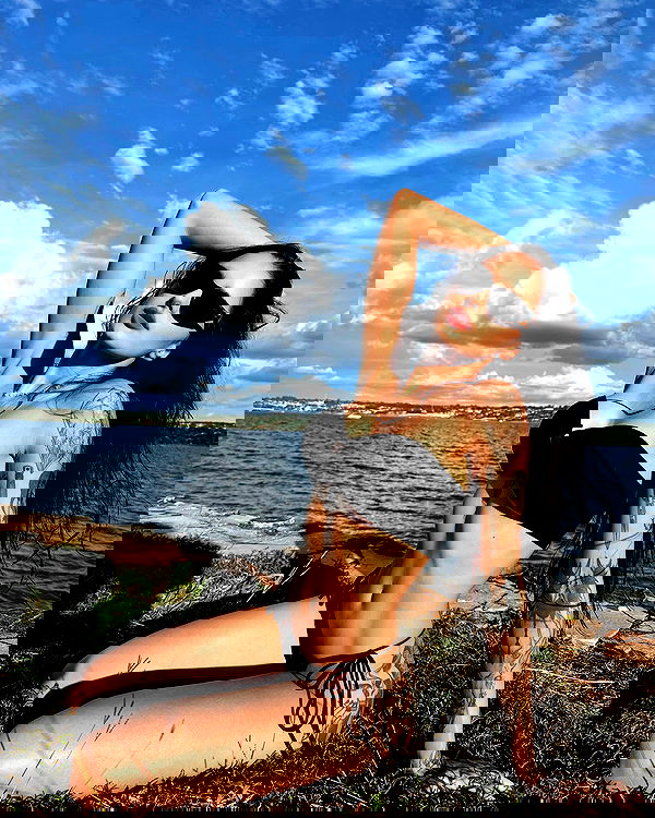 gabnoyr gabnoyr archive image