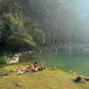 gal_laniado Altpins Profile Picture