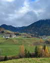 galibilaus Altpins Profile Picture