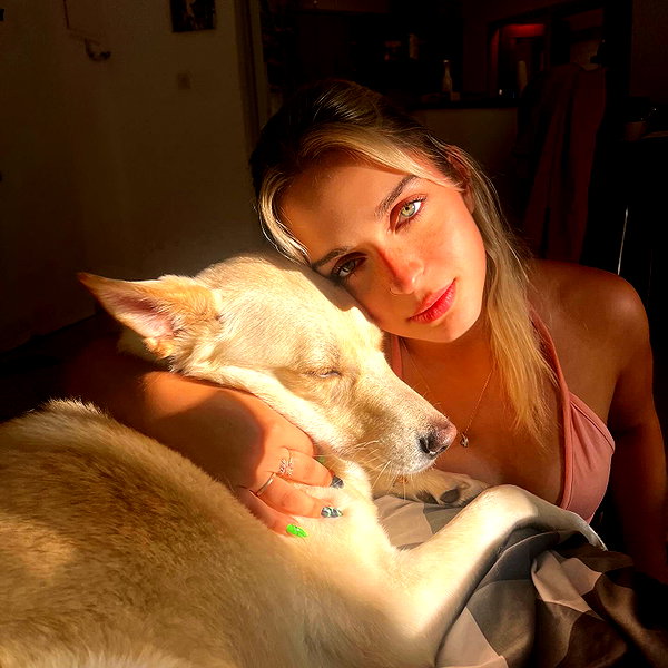 galibilaus instagram image archive image
