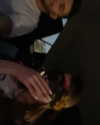 gayaedry_ Altpins Profile Picture