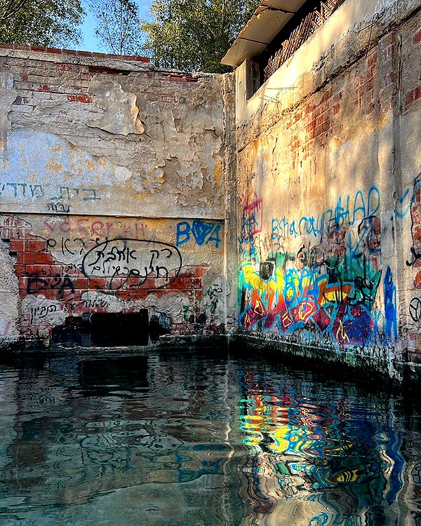 gayaedry_ instagram image archive image
