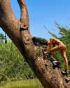 gayaedry_ Altpins Profile Picture