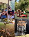 gayaedry_ Altpins Profile Picture