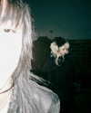 gekkasanctuary Altpins Profile Picture