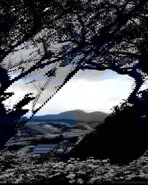 giangg._ giangg._ archive image