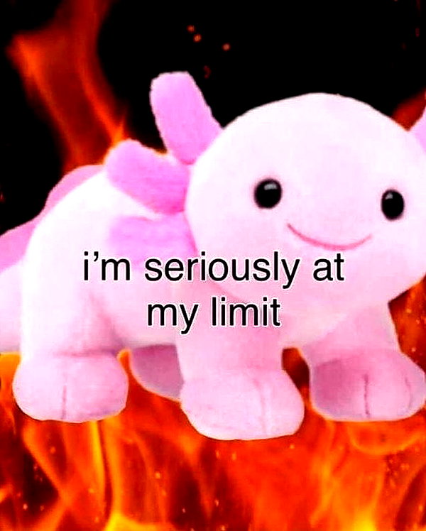 gigibbbby gigibbbby archive image