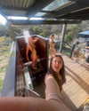 gingercreminn Altpins Profile Picture