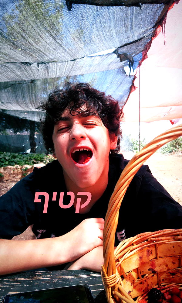 giteltm instagram image archive image
