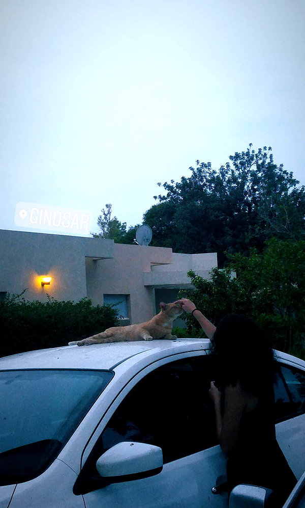 giteltm instagram image archive image