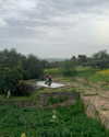 giteltm Altpins Profile Picture