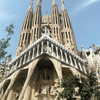 giuliahere Altpins Profile Picture