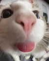 goddessoffxck2 Altpins Profile Picture