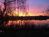 greta.m_ Altpins Profile Picture