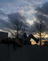 greta.m_ Altpins Profile Picture