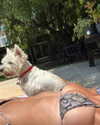 greta.m_ Altpins Profile Picture