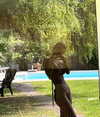 greta.m_ Altpins Profile Picture