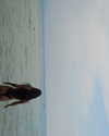 greta.m_ Altpins Profile Picture