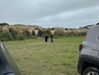 greta.m_ Altpins Profile Picture