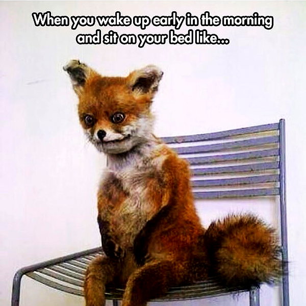 grin.andblairit instagram image archive image