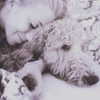 grin.andblairit Altpins Profile Picture