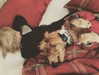 grin.andblairit Altpins Profile Picture