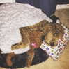 grin.andblairit Altpins Profile Picture