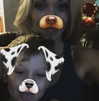 grin.andblairit Altpins Profile Picture