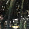 grin.andblairit Altpins Profile Picture