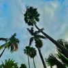 grin.andblairit Altpins Profile Picture